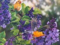 oiseaux et fleurs violettes